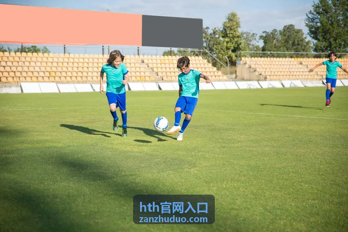 hth官网入口 入口导航指南展示页